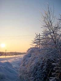 Frozen bare tree against clear sky during winter