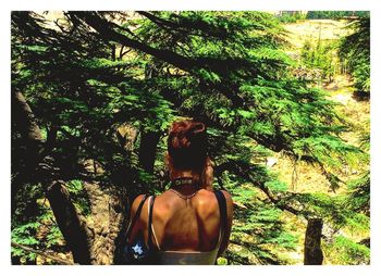 Rear view of woman in forest