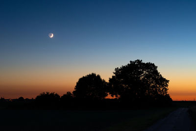 Silhouette trees against sky during sunset