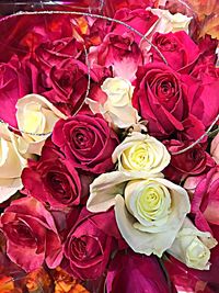 Close-up of rose bouquet