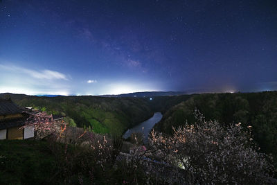 Scenic view of tree against sky at night