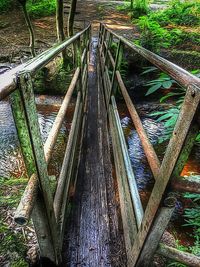 Footbridge in forest