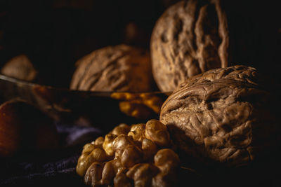 Walnuts in moody style