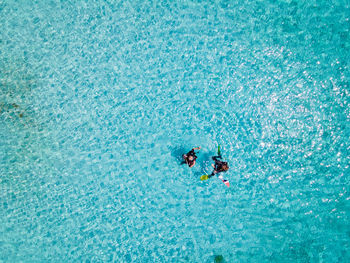 High angle view of people swimming in pool