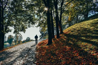 Man walking on footpath during autumn