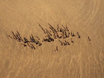 High angle view of text written on sand