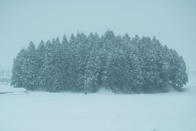 Trees on snow field against clear sky