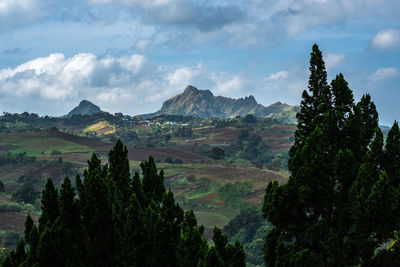 Panoramic view of trees and mountains against sky