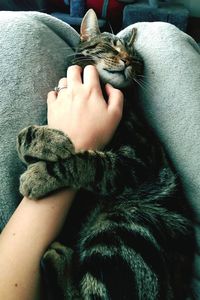 Close-up of woman holding cat with eyes closed