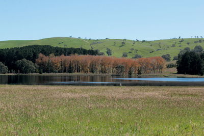 Scenic view of landscape against clear sky