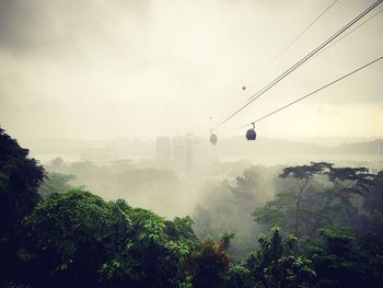 Overhead cable cars over trees against sky