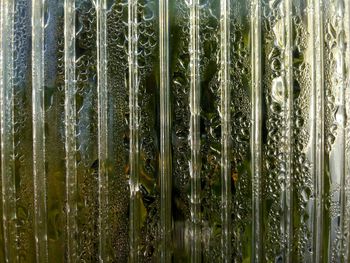 Full frame shot of fish swimming in glass