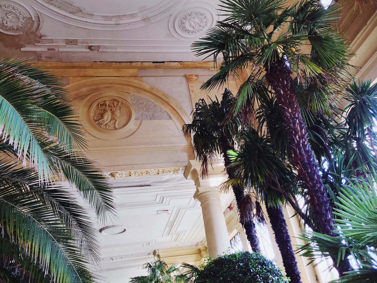 LOW ANGLE VIEW OF PALM TREE AND BUILDING