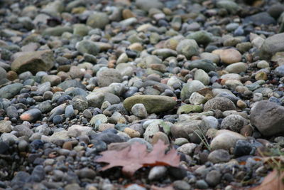 Extreme close up of pebbles