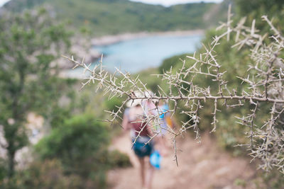 Midsection of woman standing by tree