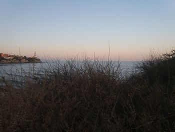 Scenic view of sea against clear sky during sunset