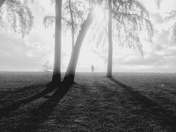 Trees on landscape against sky