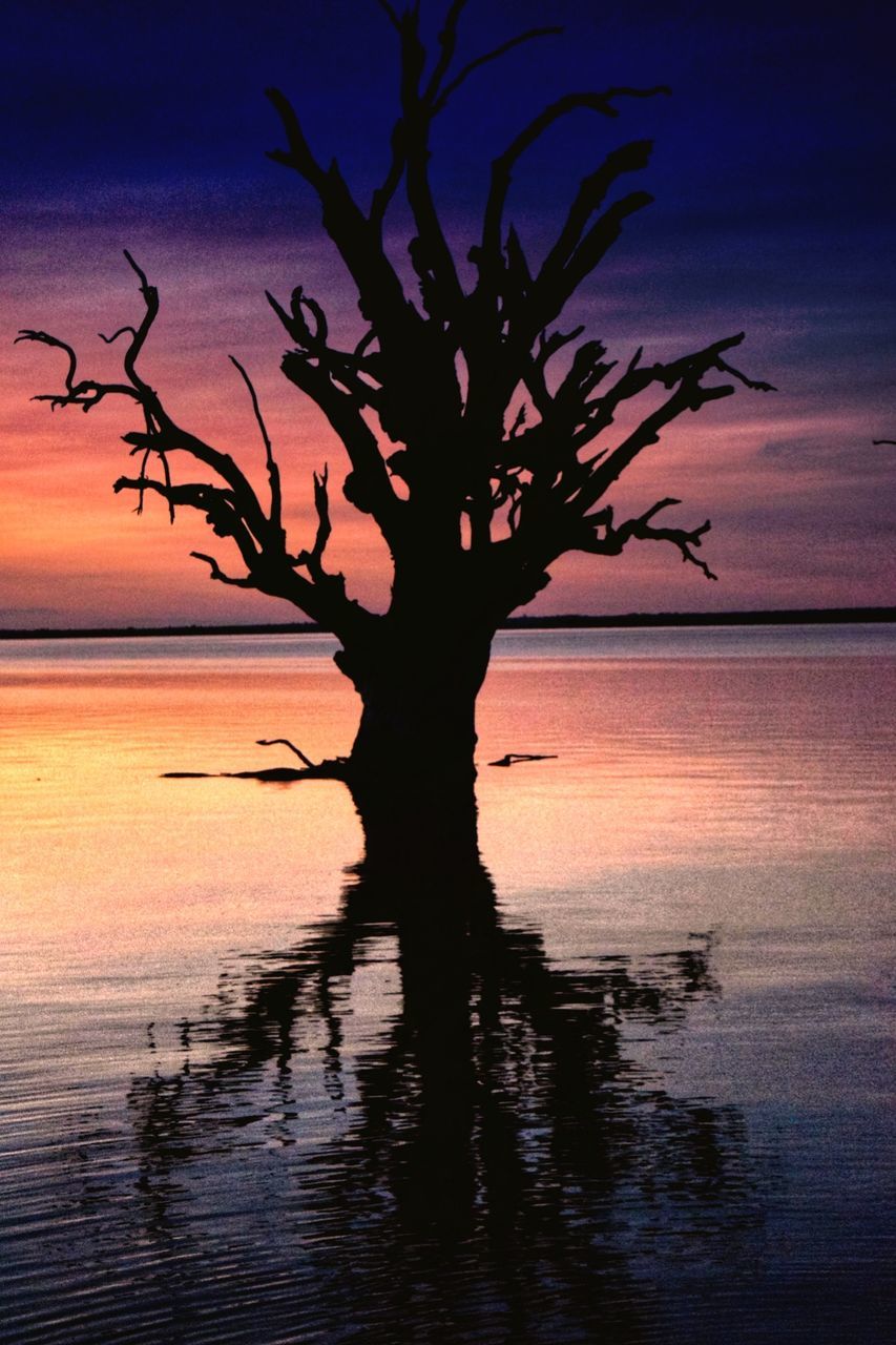 sunset, sky, silhouette, water, plant, beauty in nature, scenics - nature, tree, nature, sea, tranquility, tranquil scene, reflection, no people, orange color, horizon, waterfront, trunk, horizon over water, outdoors