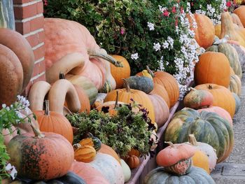 Pumpkins for sale at market