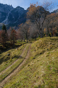 Scenic view of landscape against sky during autumn