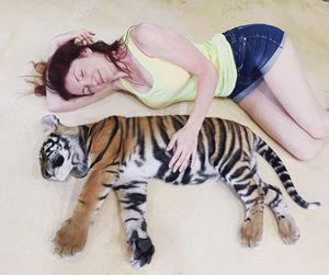 High angle view of young woman with tiger