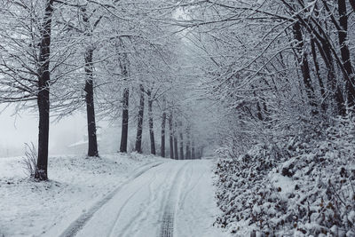 Snow covered road amidst trees during winter