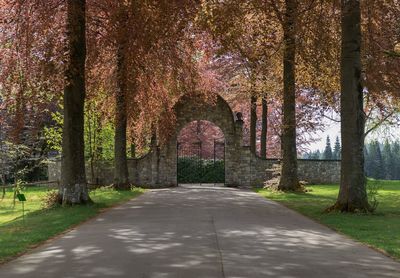 Footpath amidst trees in park during autumn