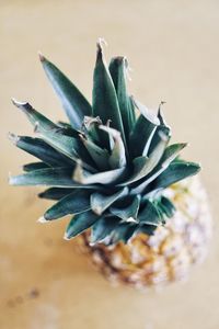 Close-up of pineapple on table