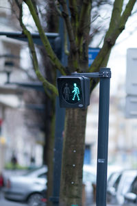 Close-up of road sign against trees