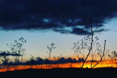 Silhouette of landscape at sunset