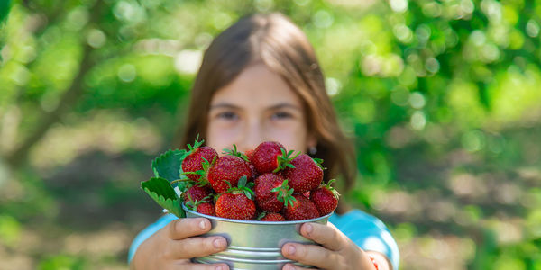 Portrait of cute girl holding strawberries in container