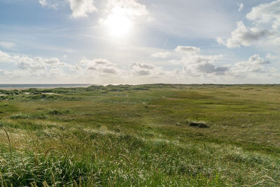 Scenic view of landscape against sky