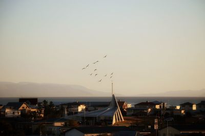 Silhouette birds flying over sea against sky at dusk