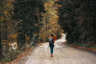 Rear view of man walking on road in forest