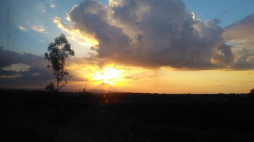 Silhouette trees on field against sky during sunset