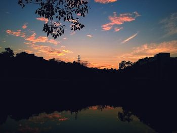 Silhouette of trees at sunset