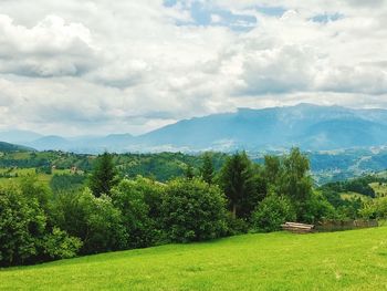 Scenic view of field against sky