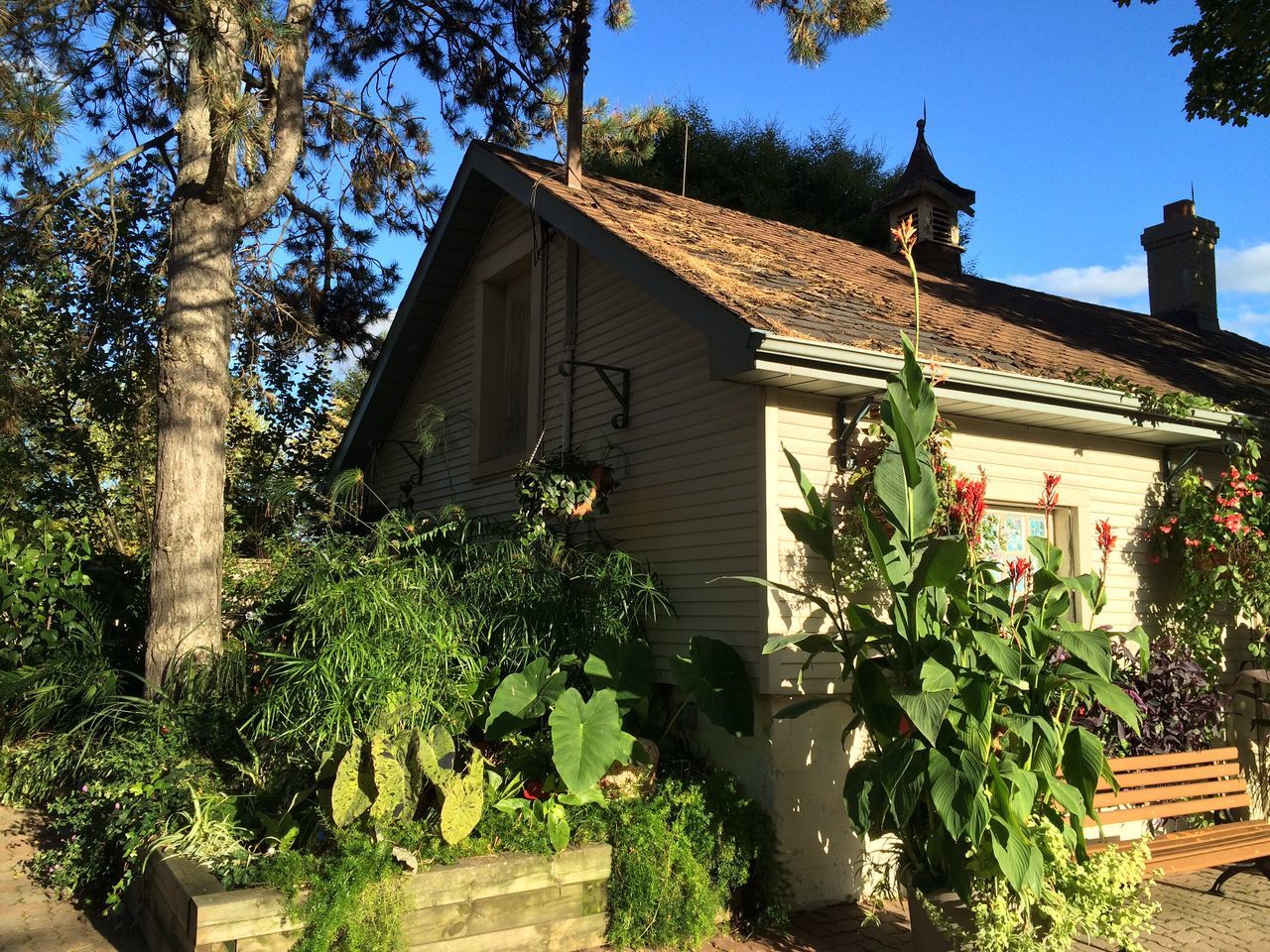 building exterior, architecture, built structure, tree, low angle view, plant, house, growth, clear sky, blue, sunlight, potted plant, residential structure, flower, day, residential building, outdoors, no people, building, sky