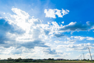 Low angle view of trees on field against sky