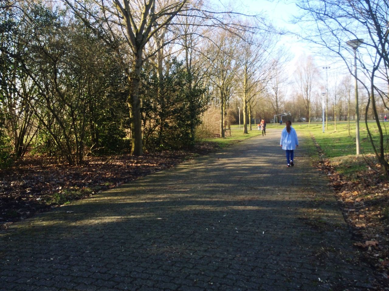 tree, full length, lifestyles, rear view, the way forward, leisure activity, walking, casual clothing, childhood, footpath, road, street, men, sunlight, person, boys, diminishing perspective, girls