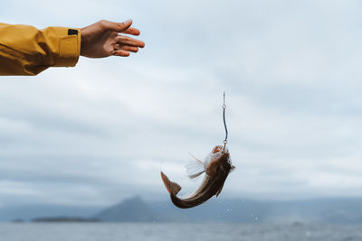 Low angle view of hand catching a fish against sky