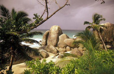 Rock formations and trees at beach against cloudy sky