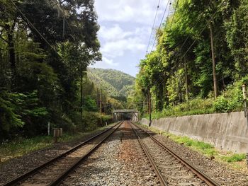 Empty railroad track amidst trees against sky