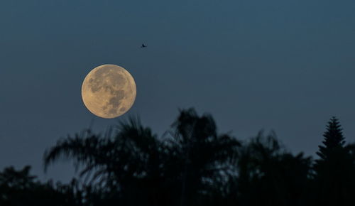 Low angle view of moon against clear sky at night