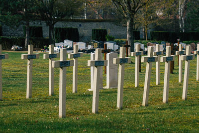 Row of cemetery against trees