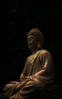 Side view of man standing against trees