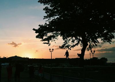 Silhouette trees against sky during sunset