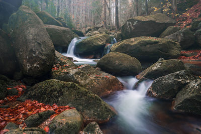 Scenic view of waterfall in forest