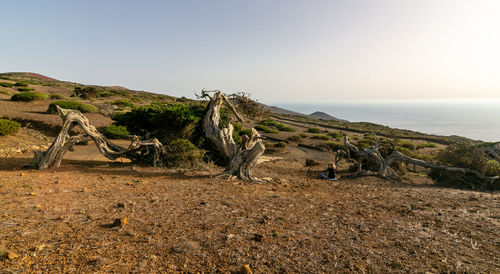 Scenic view of sea against clear sky