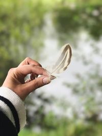 Cropped image of hand holding feather